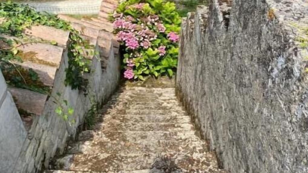 Photo of Outdoor in Arcais