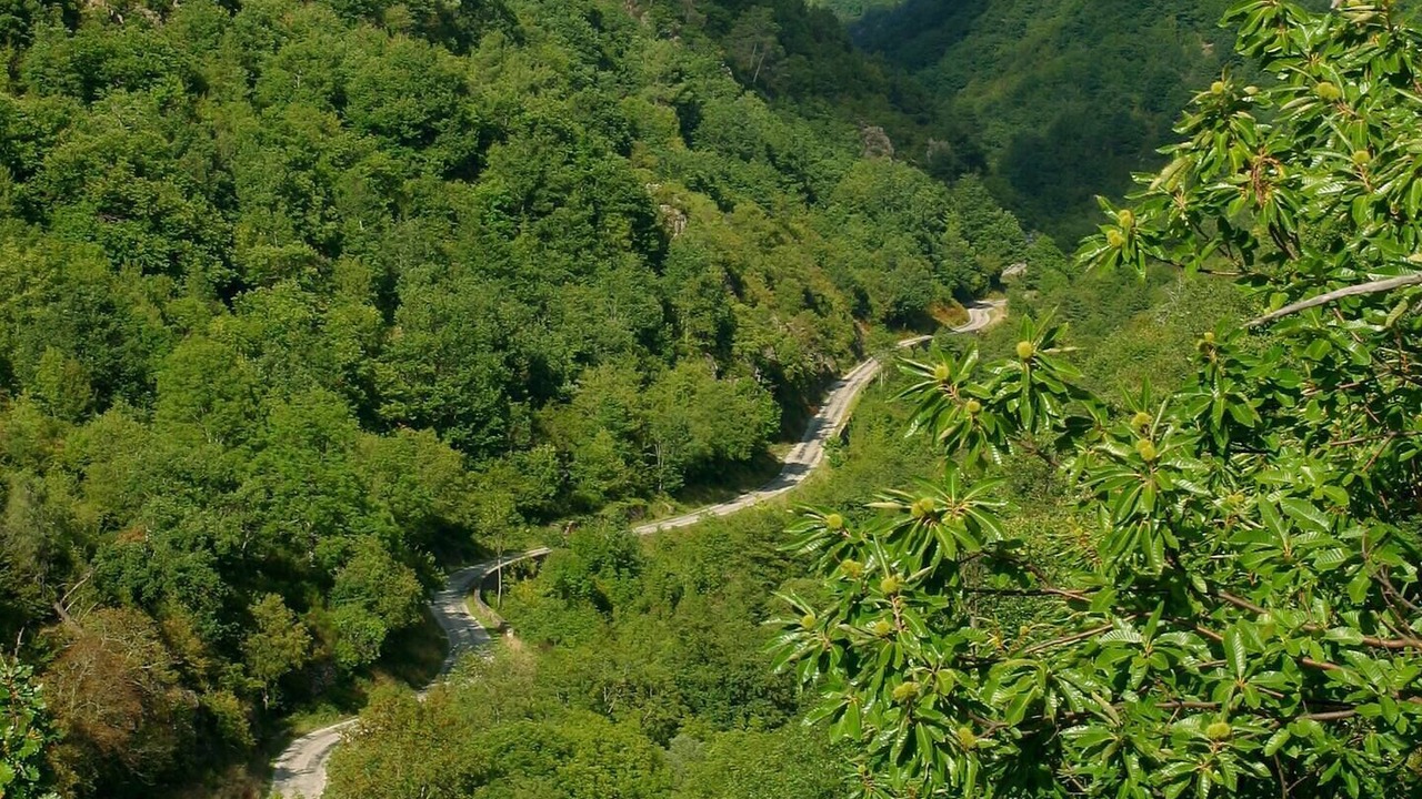 Photo of Outdoor in Saint-Etienne-de-Serre