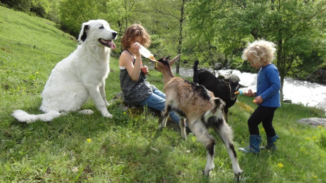 Photo of Others in Saint-Etienne-de-Serre