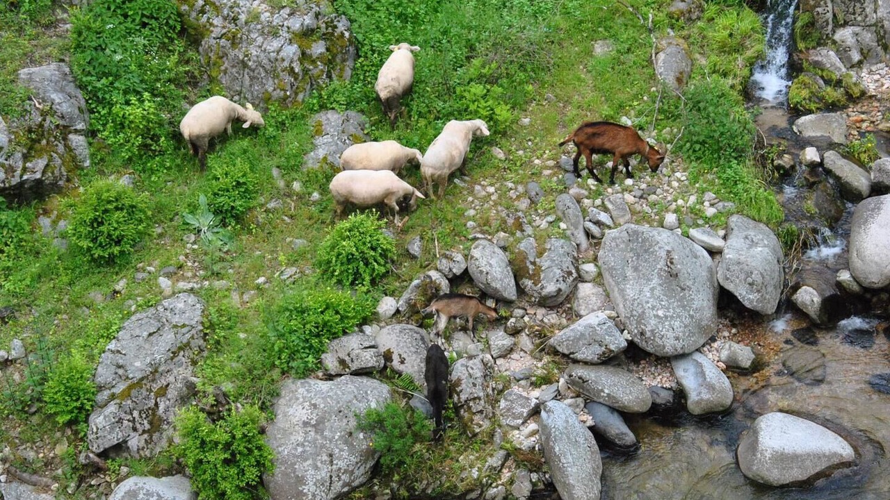 Photo of Others in Saint-Etienne-de-Serre