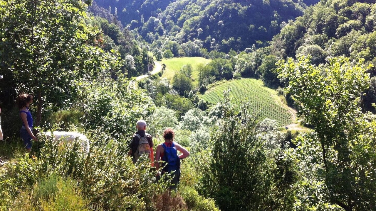 Photo of Outdoor in Saint-Etienne-de-Serre