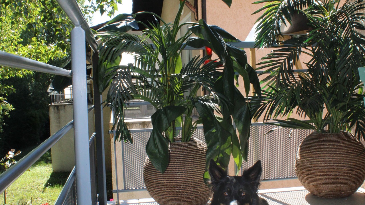 Photo of Outdoor in Aiguelèze