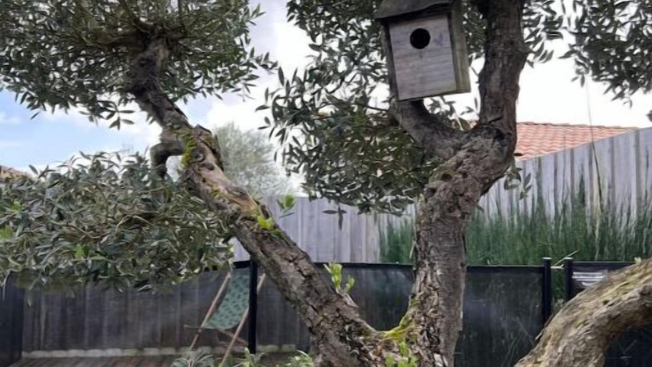 Photo of Outdoor in Le Teich