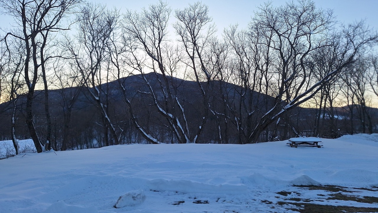 Photo of Others in Colebrook