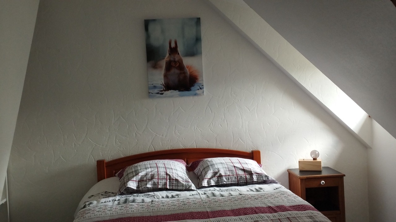 Photo of Bedroom in Castillon-de-Larboust