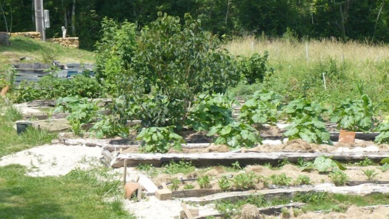 Photo of Outdoor in Vayrac