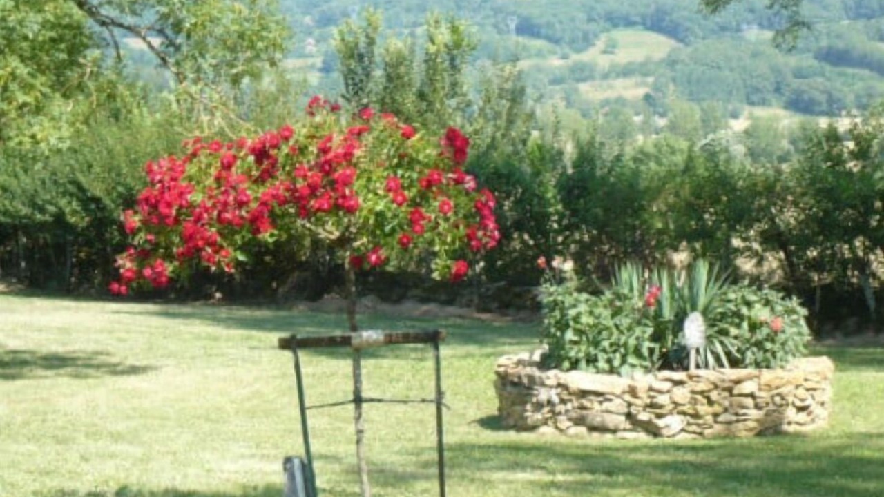 Photo of Outdoor in Vayrac