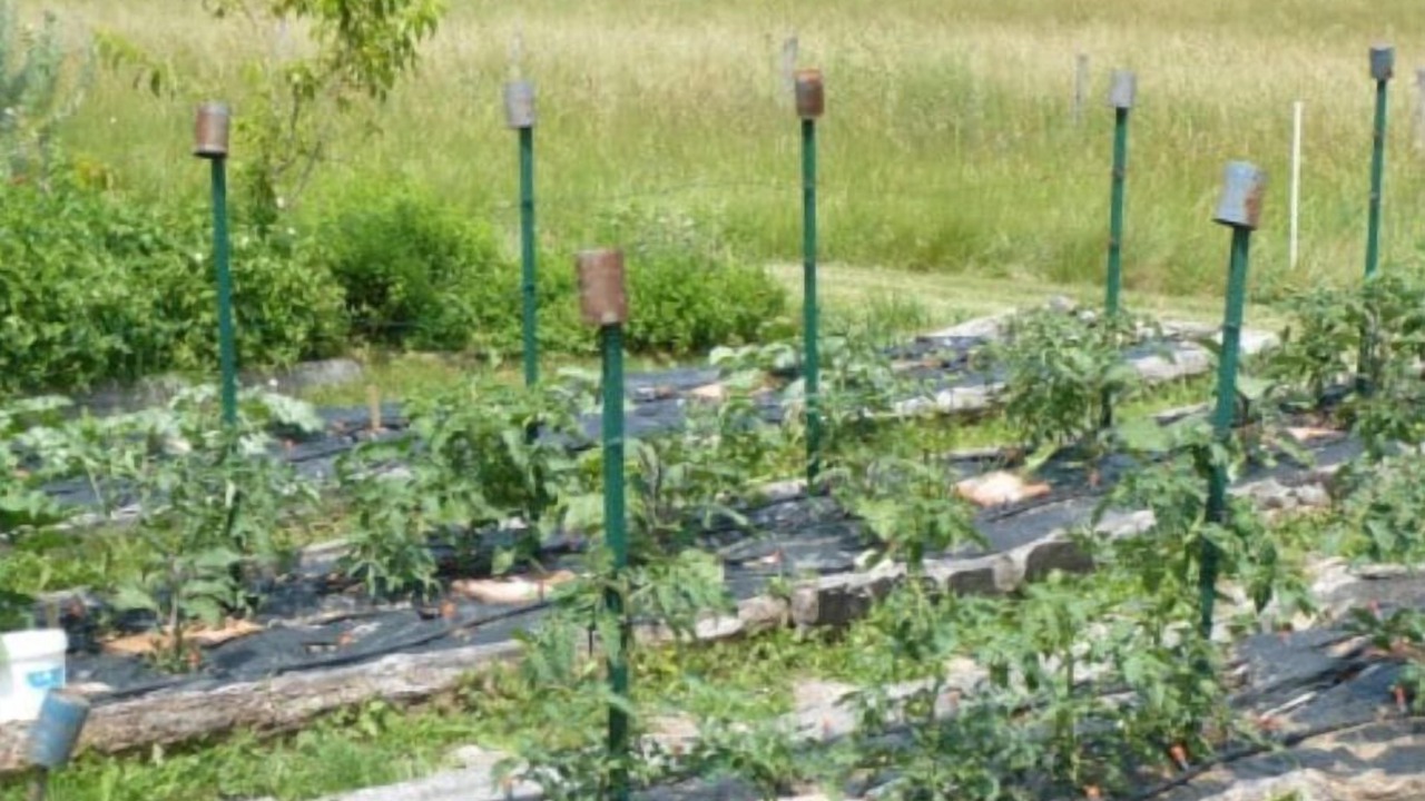 Photo of Others in Vayrac