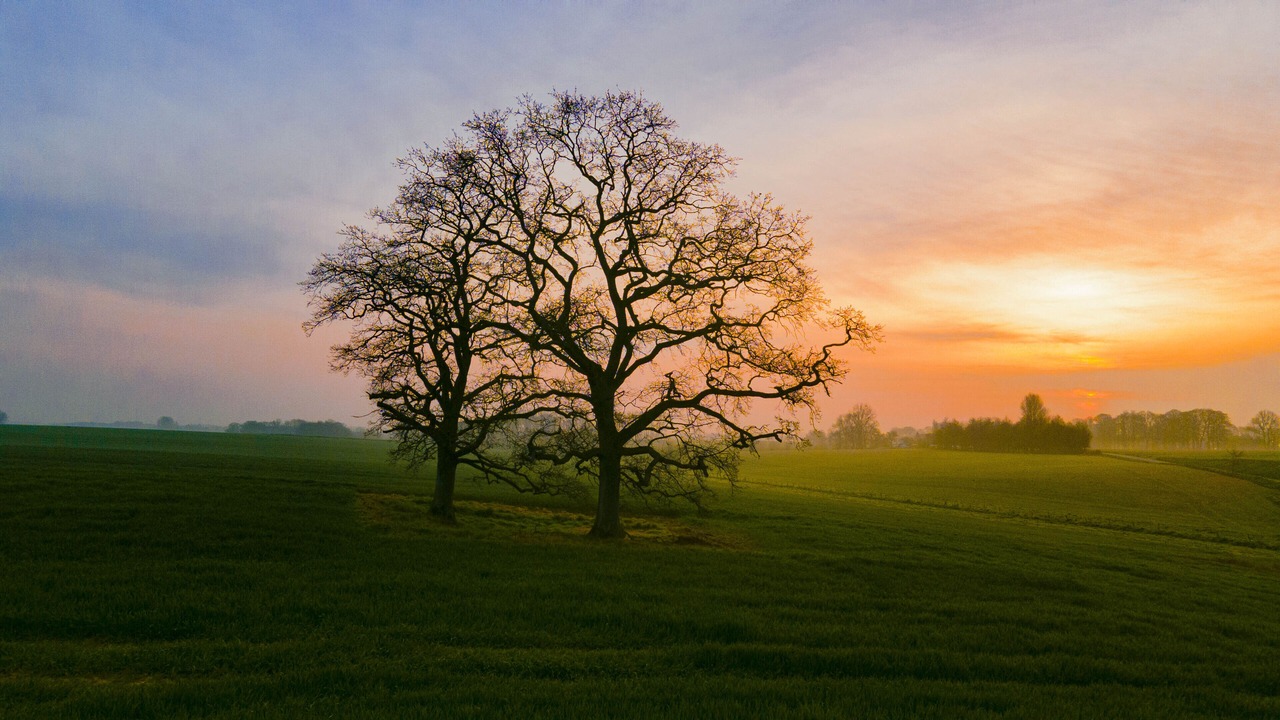 Photo of Others in Saint-Remy-la-Vanne
