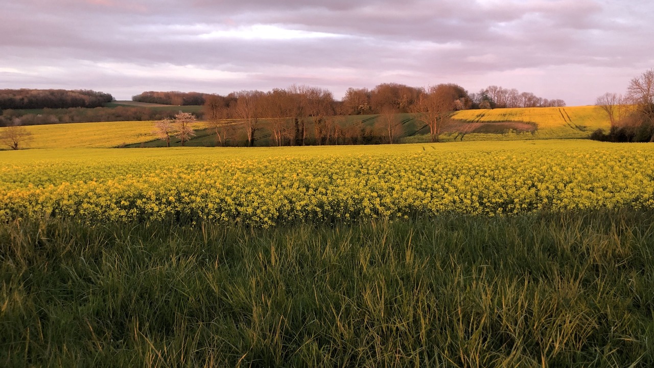 Photo of Others in Saint-Remy-la-Vanne