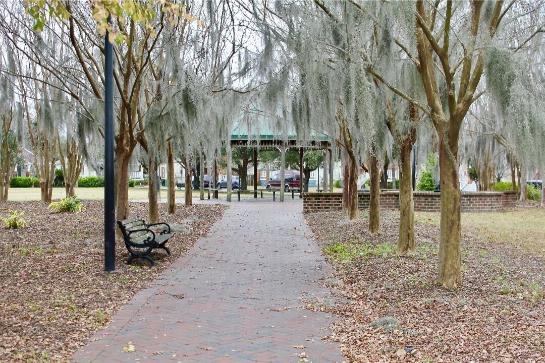 Photo of Outdoor in Cuyler - Brownsville