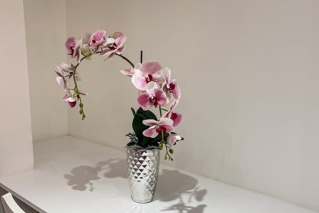 Photo of Others in Highbury West