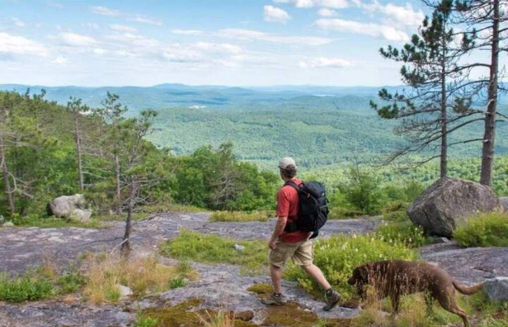 Photo of Others in Bartlett