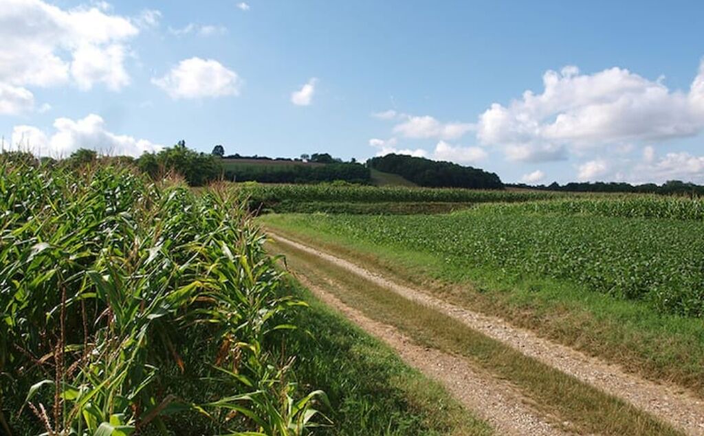 Photo of Outdoor in Saint-Symphorien-d'Ozon