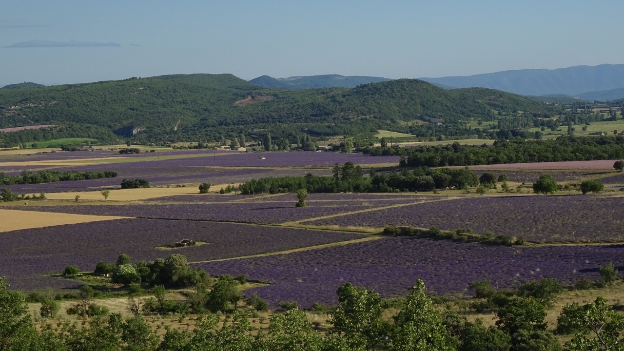 Photo of Others in La Rochegiron