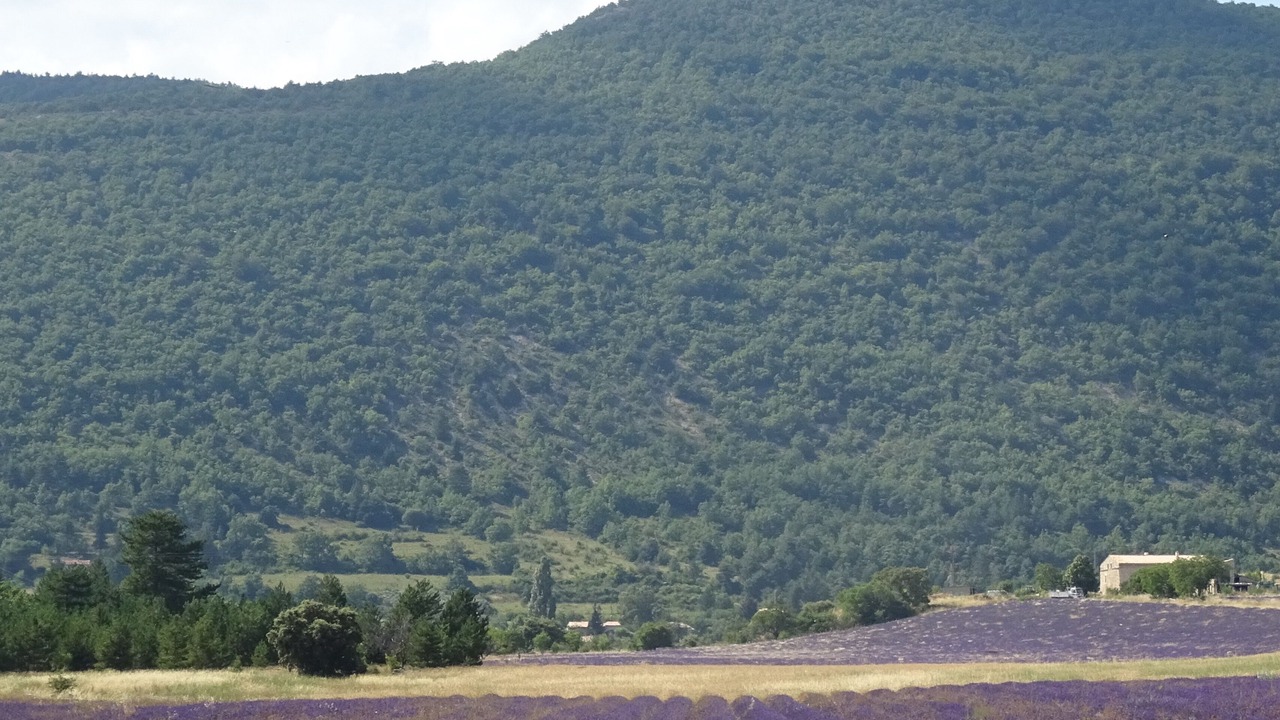 Photo of Others in La Rochegiron