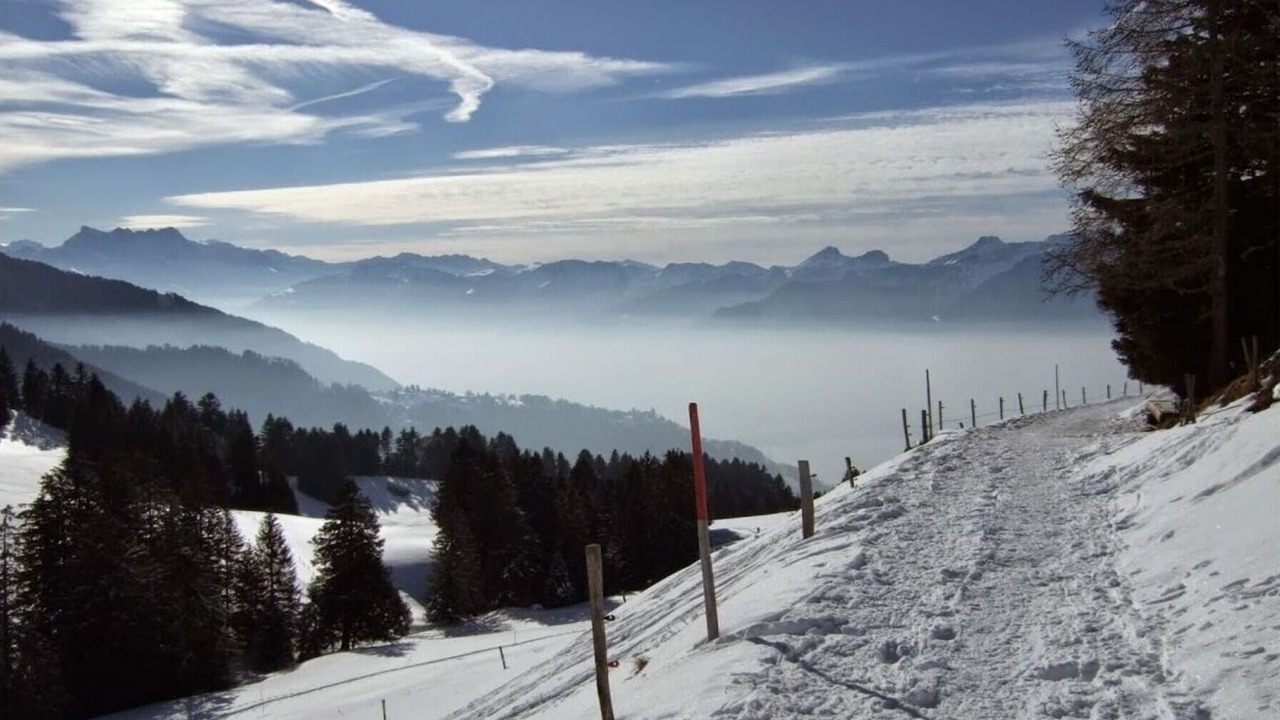 Photo of Others in Montreux