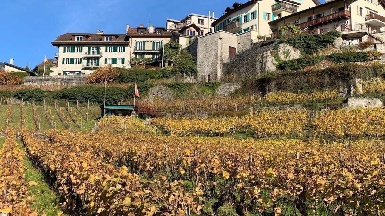 Photo of Outdoor in Montreux