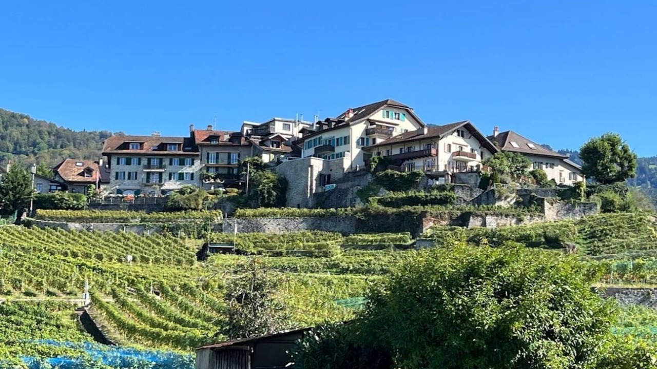 Photo of Others in Montreux