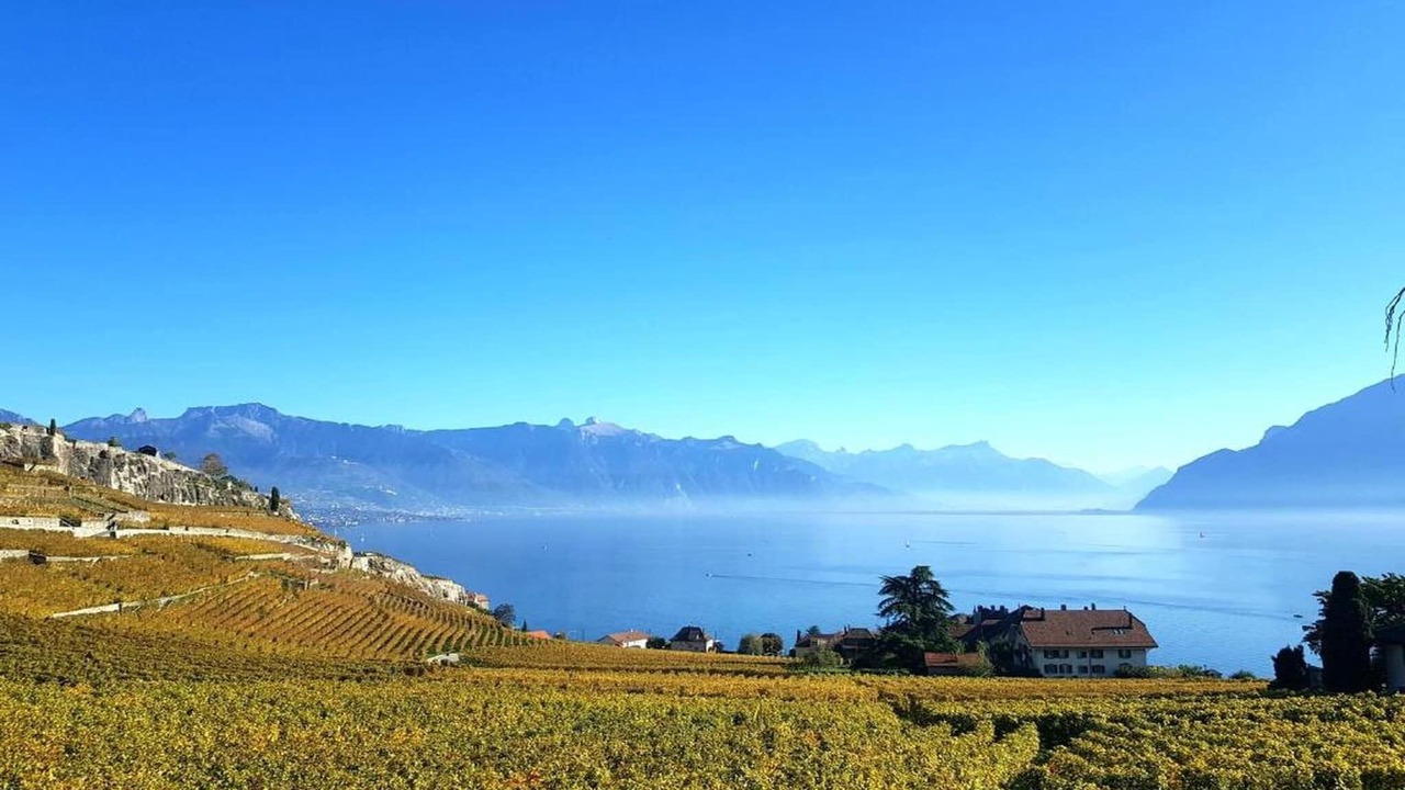 Photo of Others in Montreux
