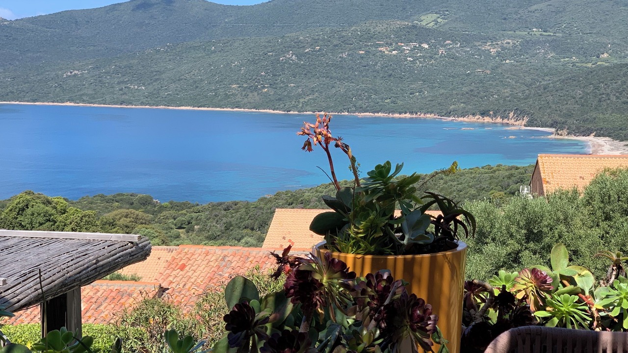 Photo of Others in Serra-di-Ferro