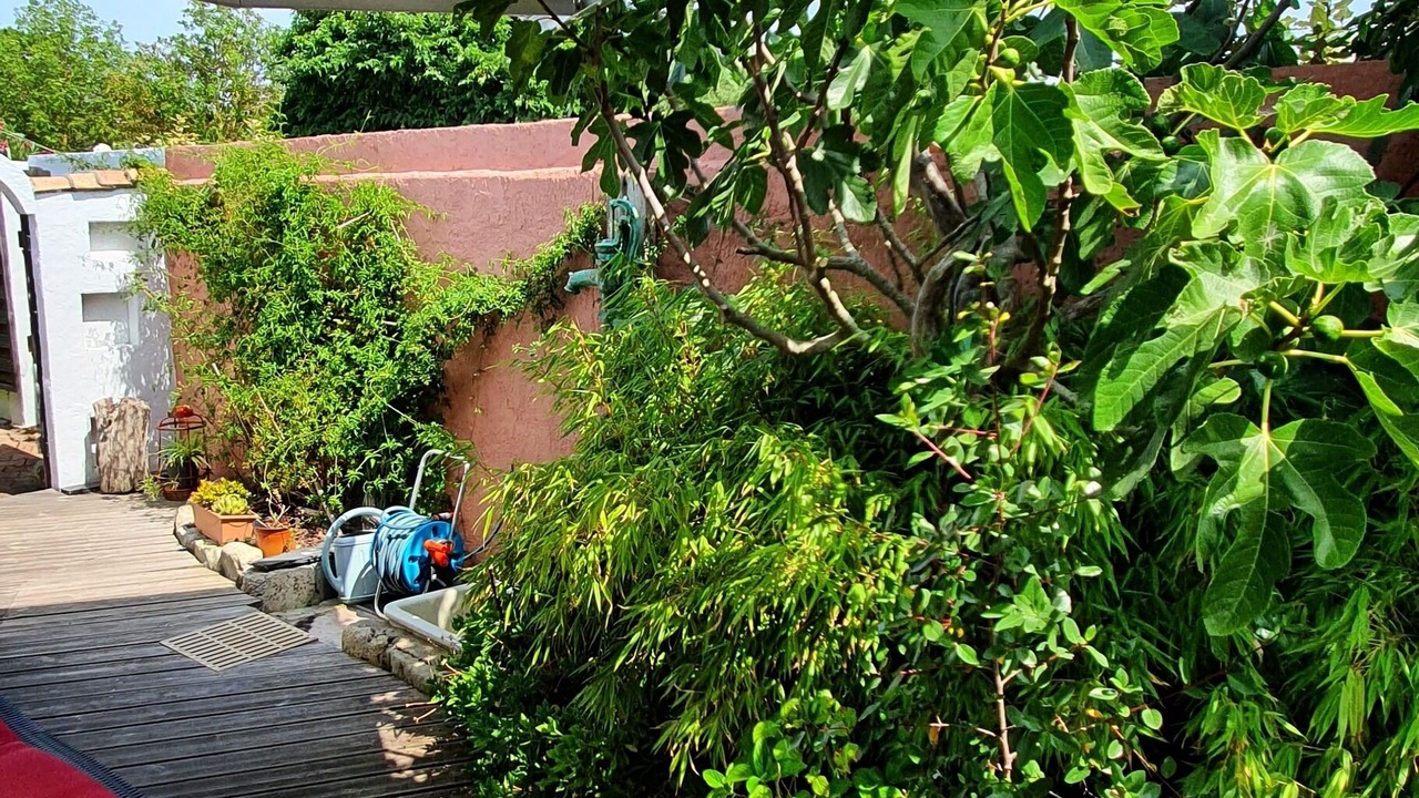 Photo of Outdoor in Ars-en-Re