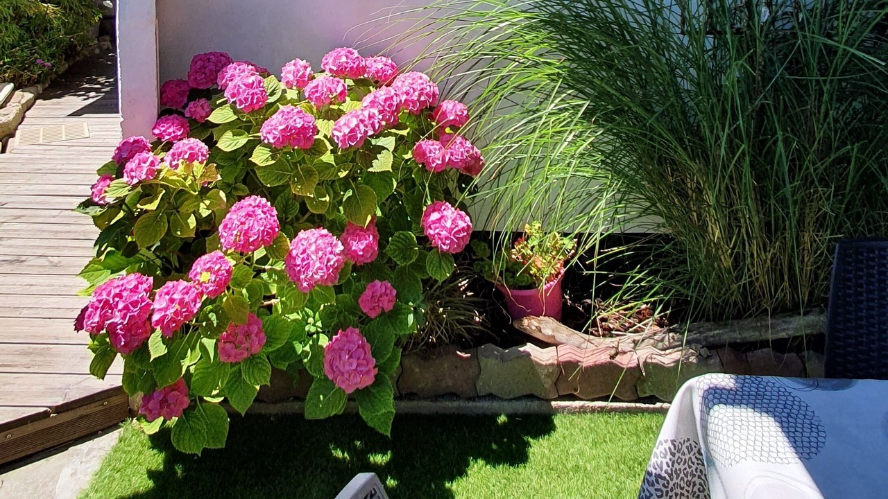 Photo of Outdoor in Ars-en-Re