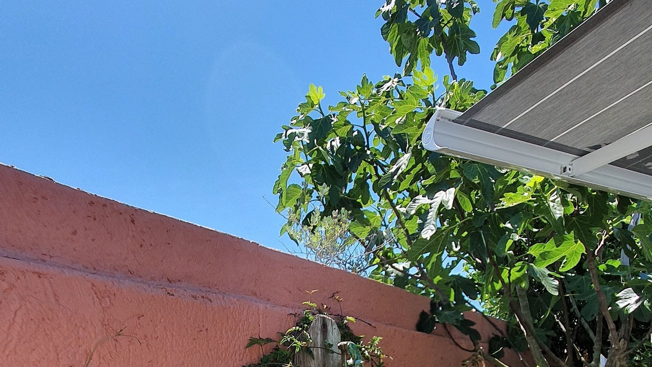 Photo of Outdoor in Ars-en-Re