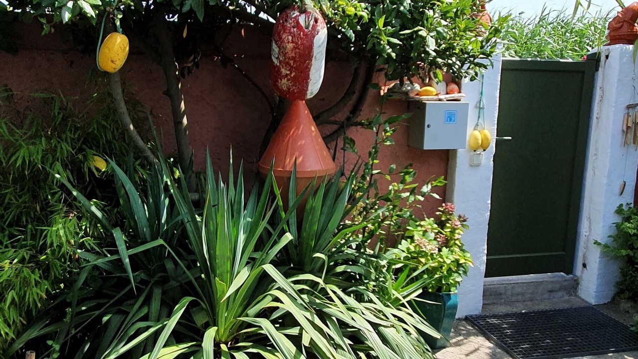 Photo of Outdoor in Ars-en-Re