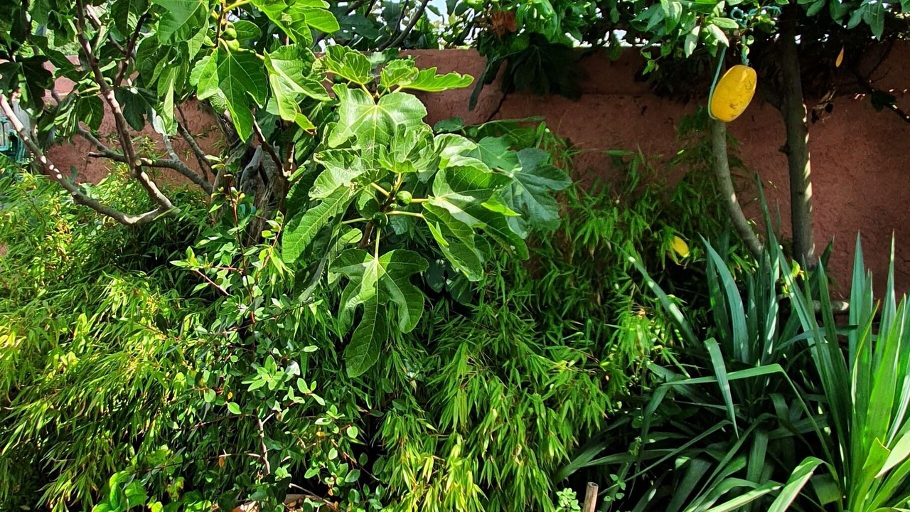 Photo of Outdoor in Ars-en-Re