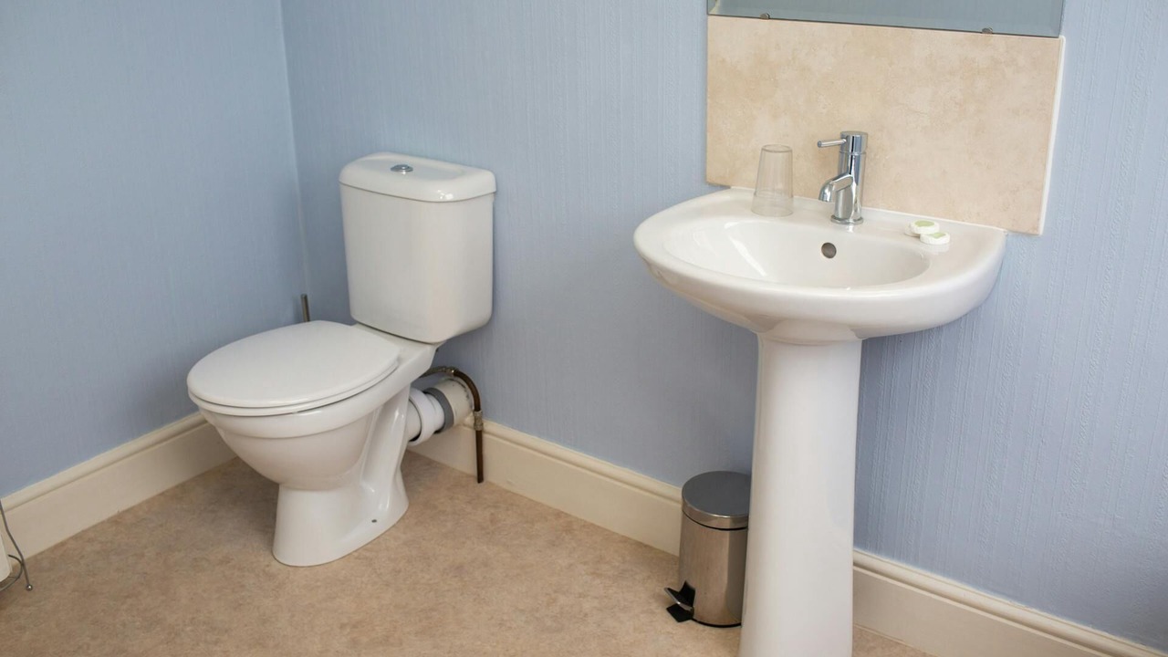 Photo of Others in Aberystwyth