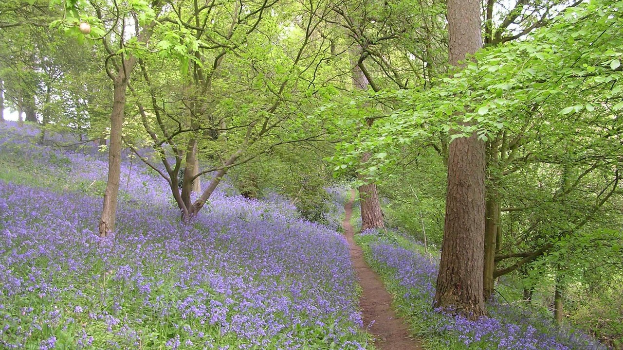 Photo of Others in Dre-fach Felindre