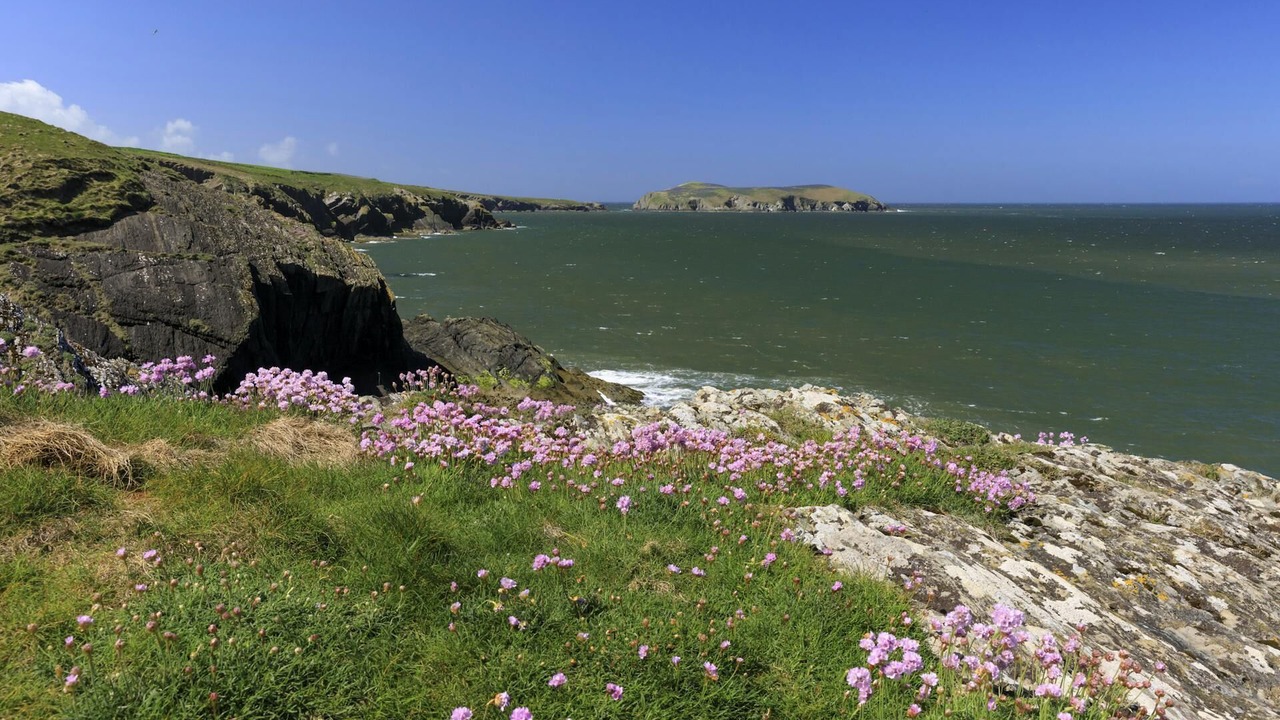 Photo of Others in Dre-fach Felindre