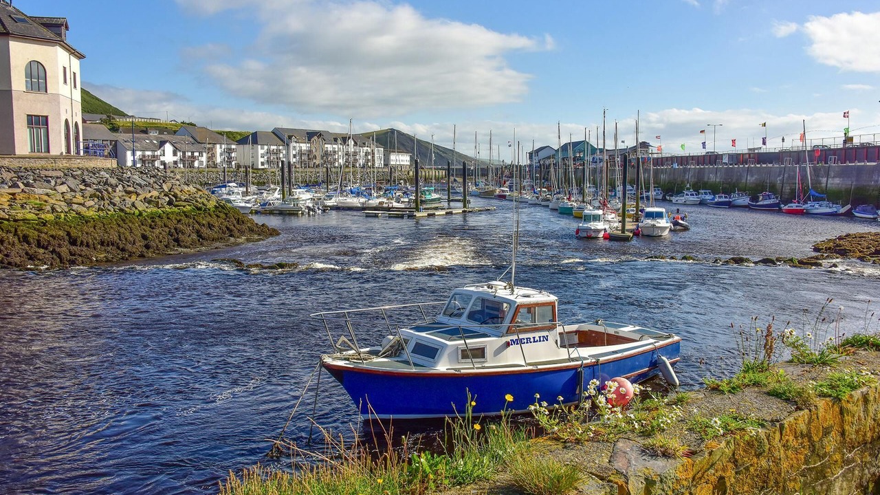 Photo of Others in Aberystwyth
