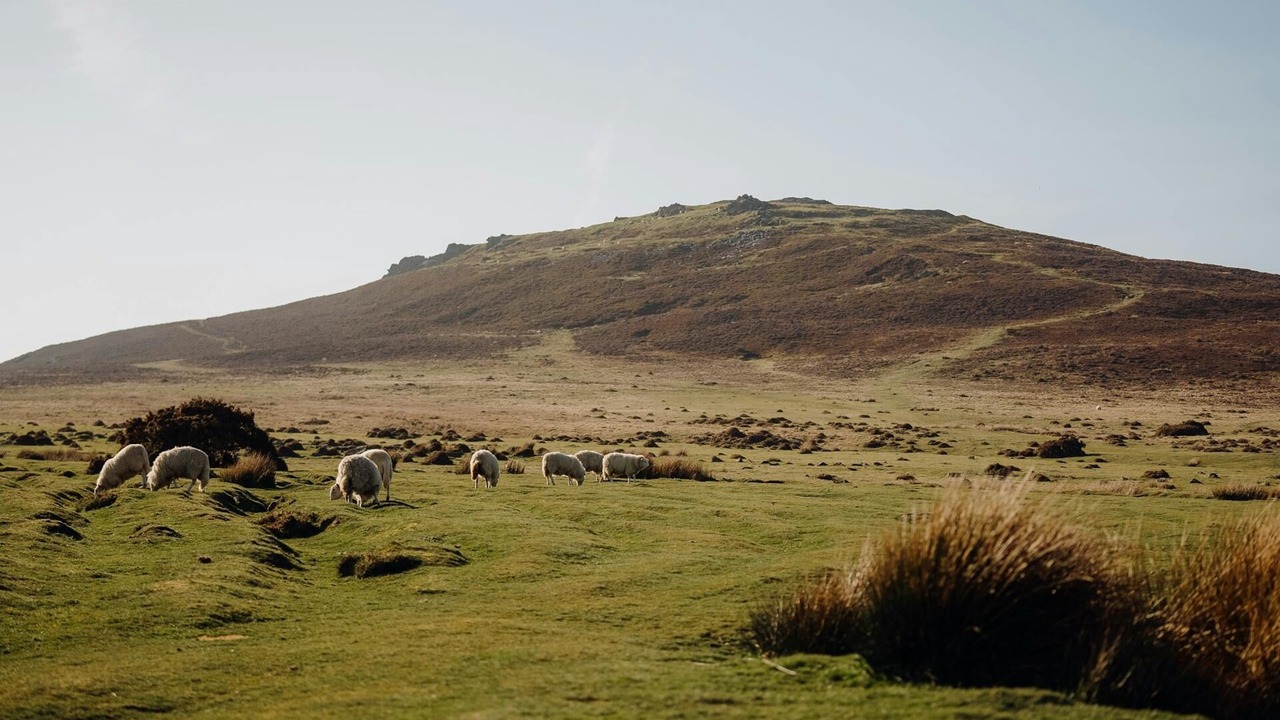 Photo of Others in Crymych