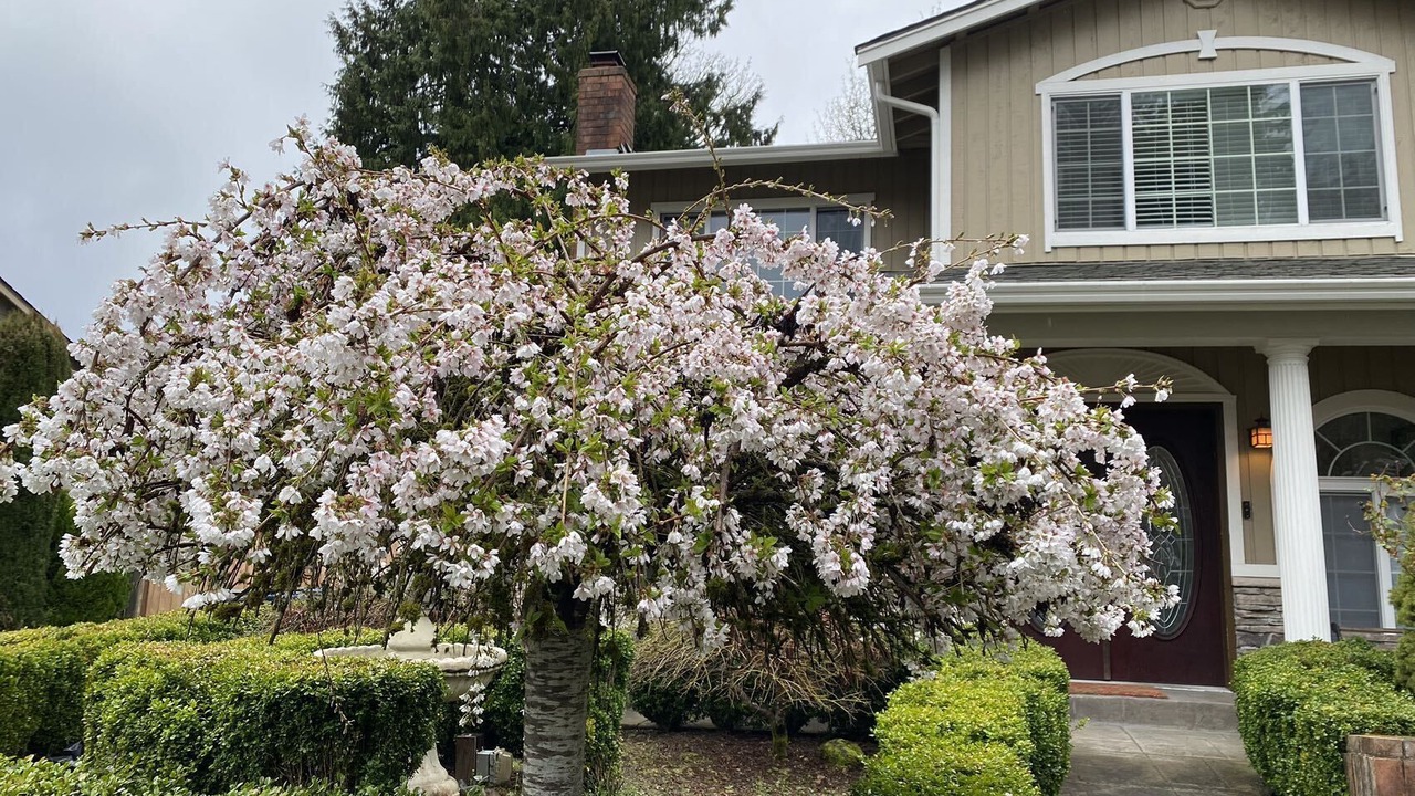 Photo of Outdoor in Issaquah