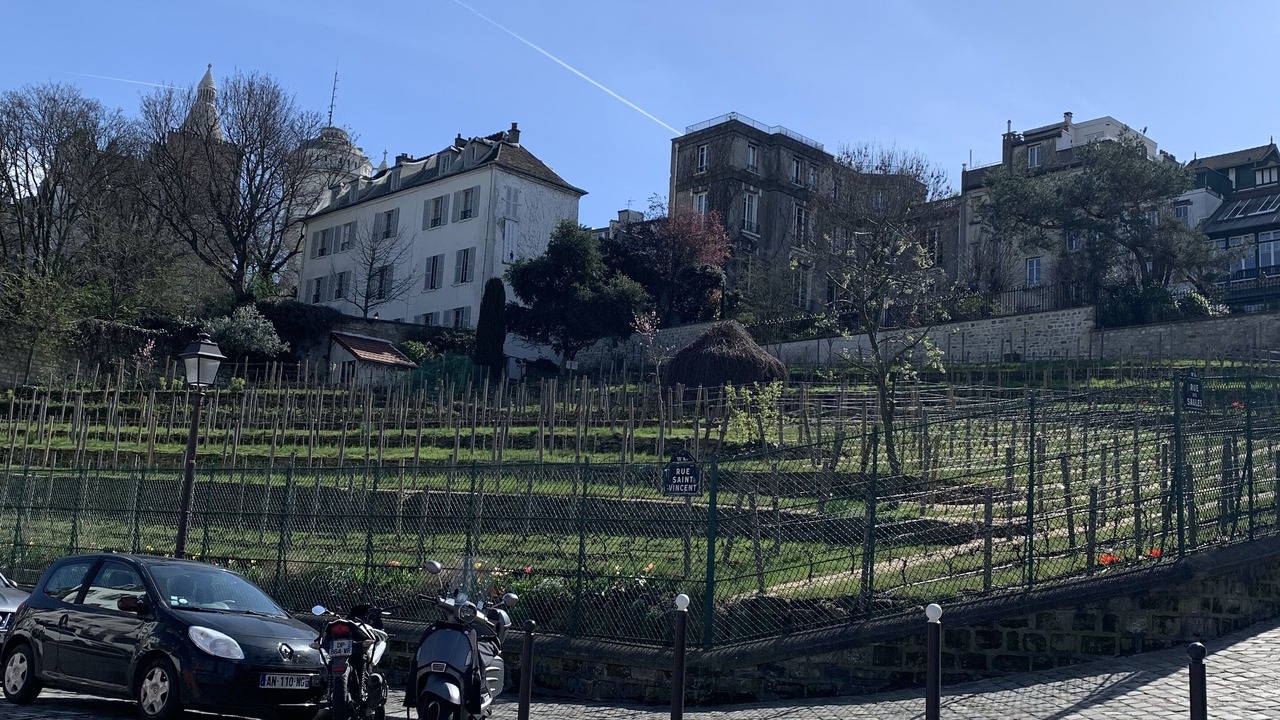 Photo of Outdoor in Montmartre