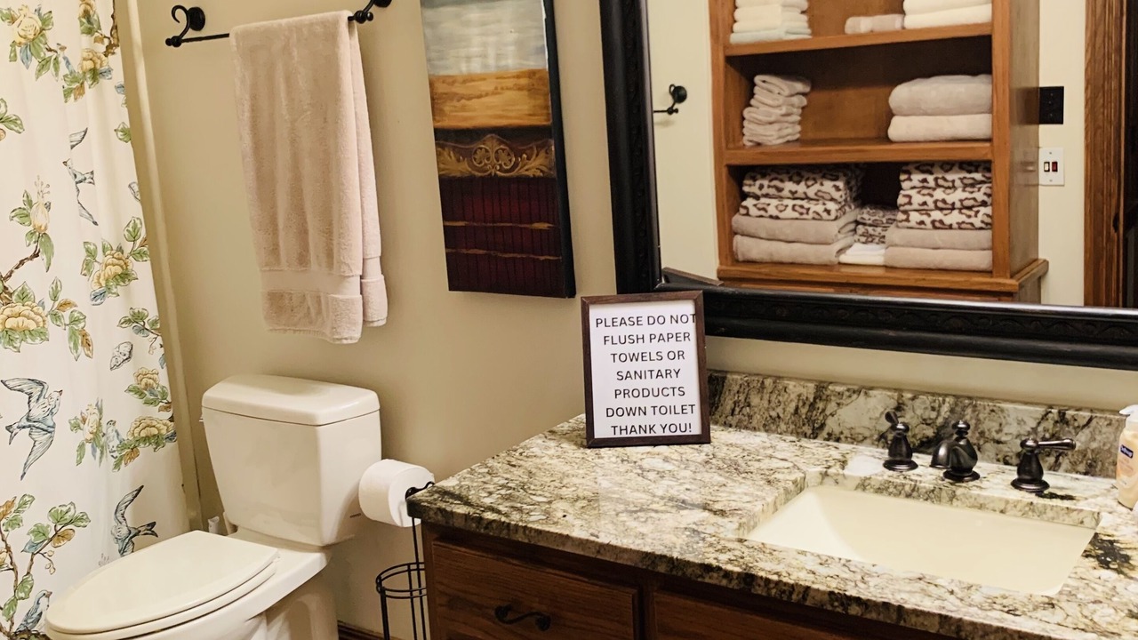 Photo of Bathroom in Downsville