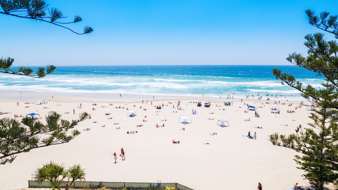 Photo of Others in Burleigh Heads