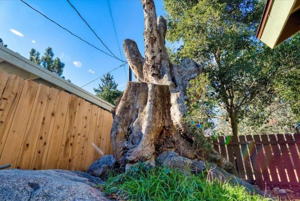 Photo of Outdoor in Descanso