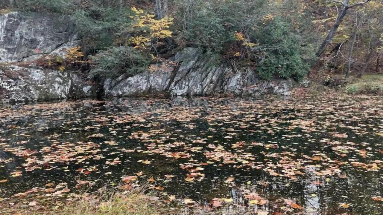 Photo of Others in Massies Mill