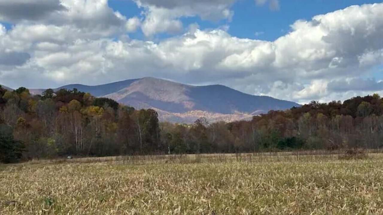 Photo of Others in Massies Mill