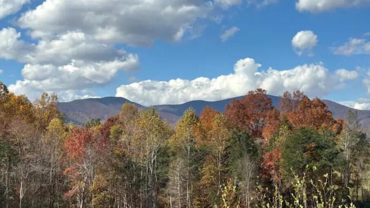 Photo of Others in Massies Mill