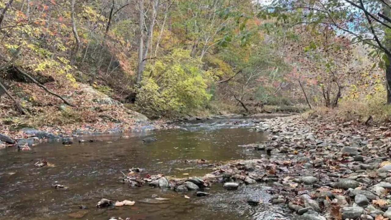 Photo of Others in Massies Mill