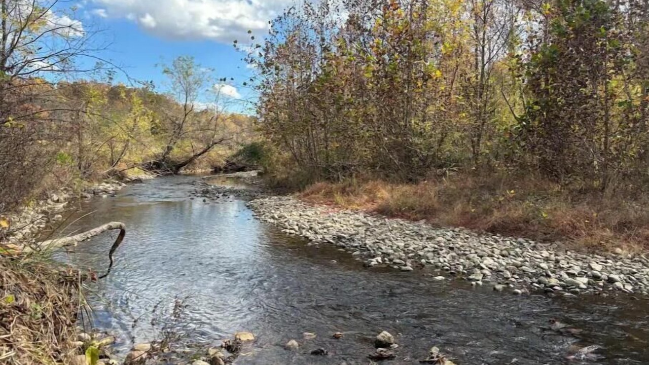Photo of Outdoor in Massies Mill