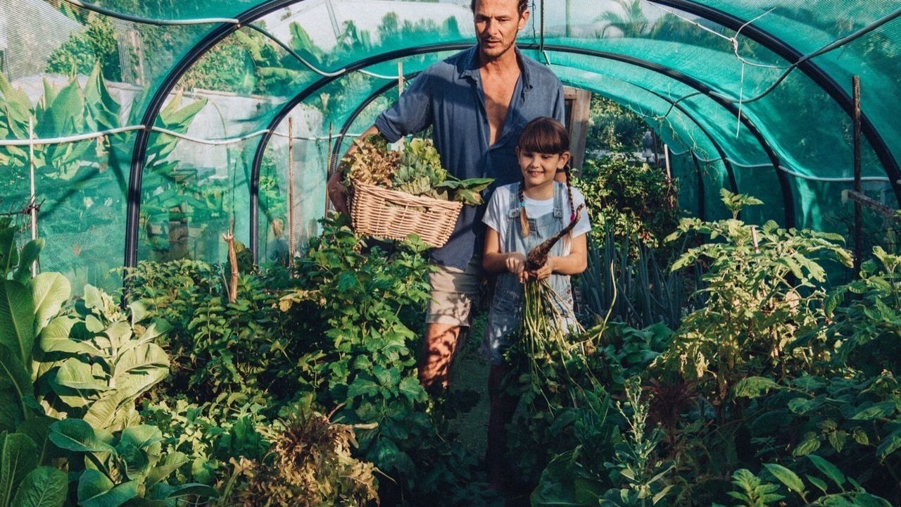 Photo of Others in Wallis Lake