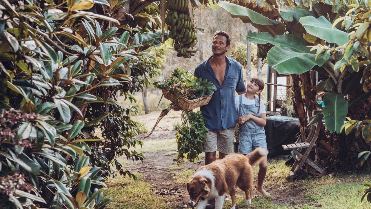 Photo of Outdoor in Wallis Lake