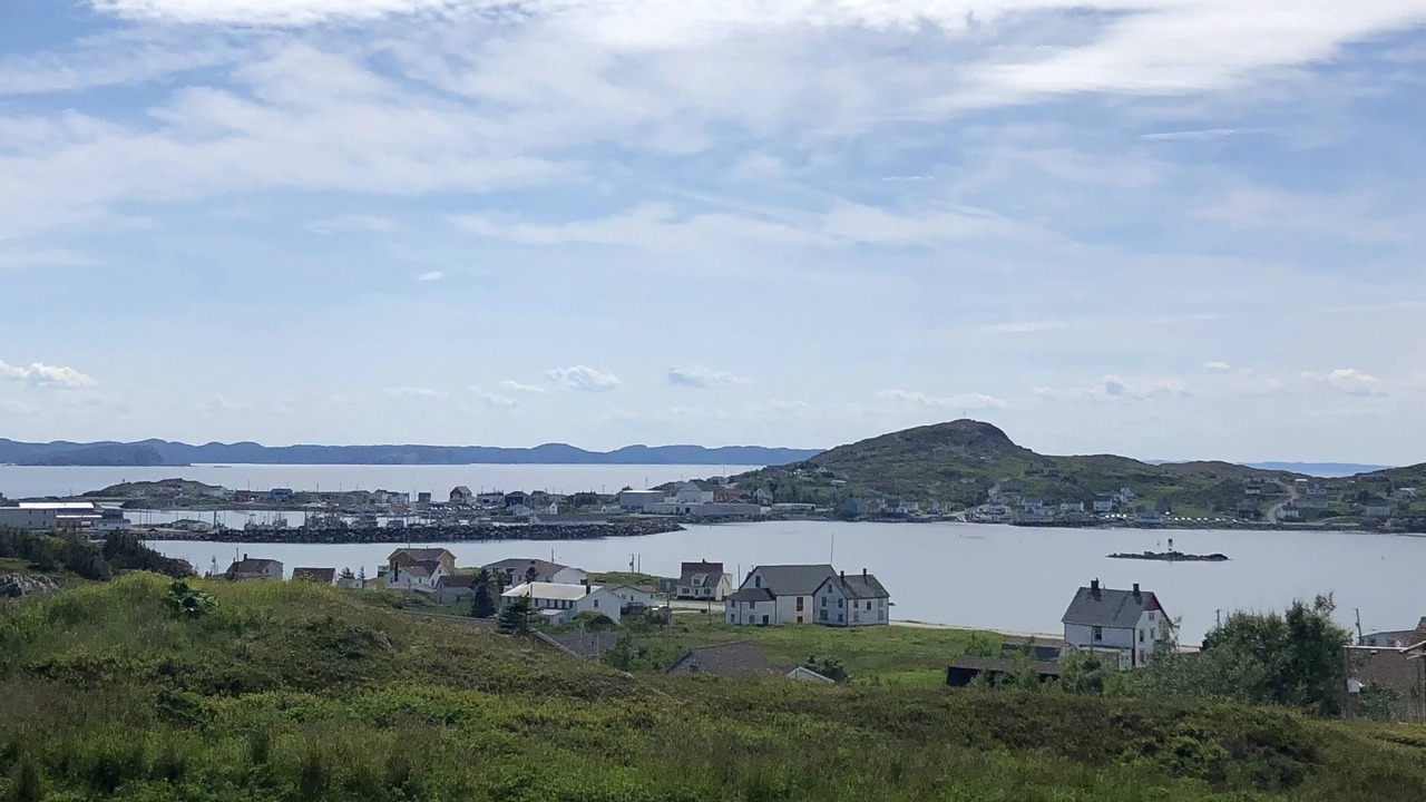 Photo of Others in Twillingate