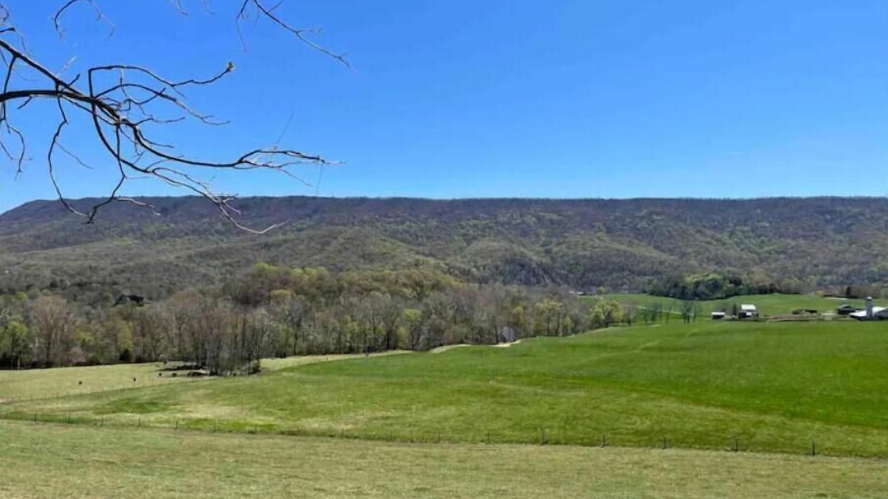 Photo of Others in Fishers Hill