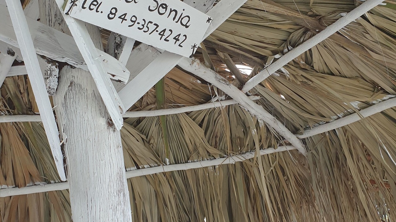 Photo of Outdoor in Sabana Palenque